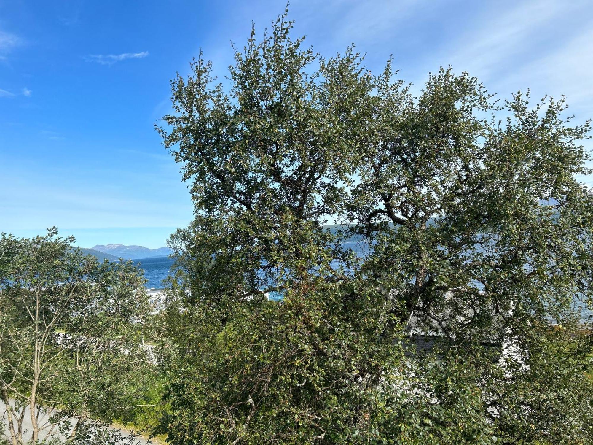 Apartment In Tromso With Sea And Mountain View Bagian luar foto